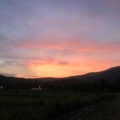 ufo28181060's profile picture. understandable