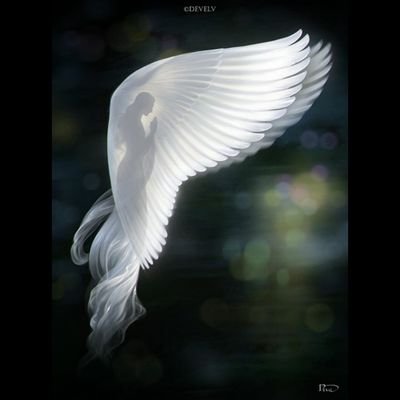 نبض الوجد Profile