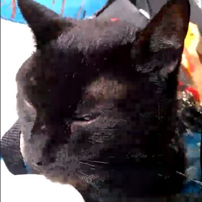 sagargurung2639's profile picture. Right now I am just a random person in this world, but soon enough you will recognize me :)