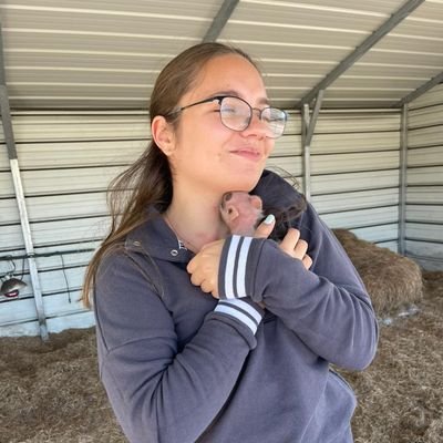 macaguzva2021's profile picture. 