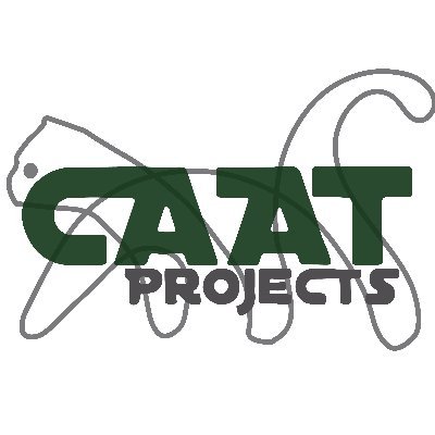CAAT Projects is a non-profit NGO, created in January 2016
in the Netherlands. CAAT stands for Creating Arts and Alternatives Together.