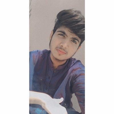 Ameer_toits Profile Picture