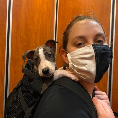 _giographic's profile picture. here for the content