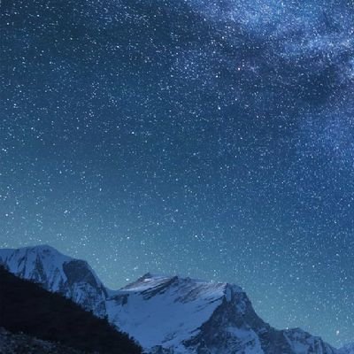 nothing231253's profile picture. 