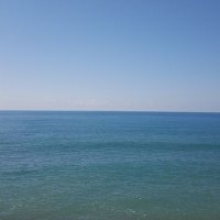 musa Eren (@mustafa53457603) 's Twitter Profile