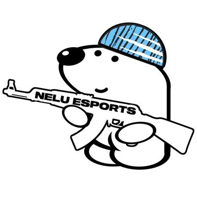 EsportsNelu's profile picture. The hard working esport team run by @mackan_cs