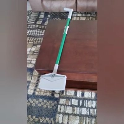 BugSwat's profile picture. Bug Swat (LLC)