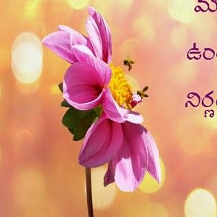 AnuRaj12471200's profile picture. I am students