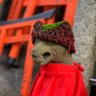 ToniSureda's profile picture. 