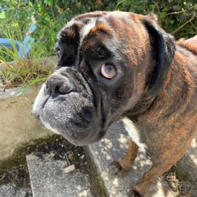 AignanBoubou's profile picture. en couple et je ne cherche rien