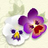 StampingSmiles's profile image