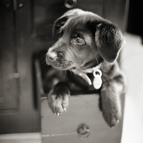 staceygresham's profile picture. 