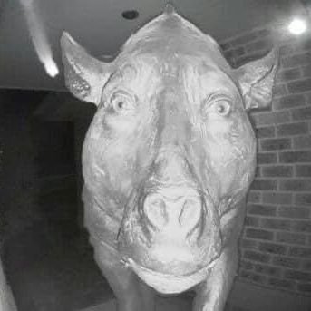 DWunnu's profile picture. No