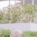 🌸 (@qhaqeita) Twitter profile photo 🌸 (@qhaqeita) Twitter profile photo