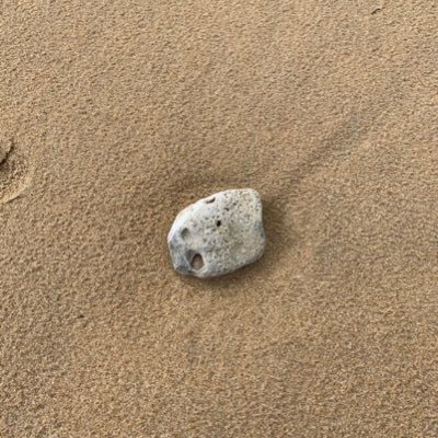 EstelleVauxion's profile picture. prof des écoles CAFIPEMF CAPPEI