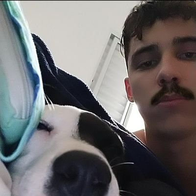 kingofzapzap001's profile picture. gallo 12 ou gallo 24?