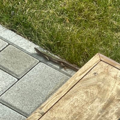 FilipZoldak's profile picture. 