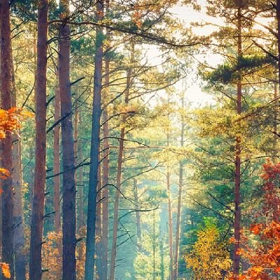 EkarajPathak's profile picture. Thinking