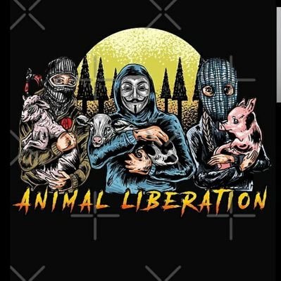 ThatCrazyVegan1's profile picture. Im a 20 yo intersectional vegan woman who is autistic, I care about the ethical treatment of animals and use my voice to speak up against inequality 💚 be kind