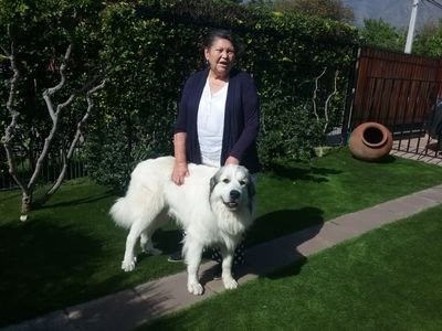 KneerCecilia's profile picture. soy Artista  y no pienso morir de Corv19