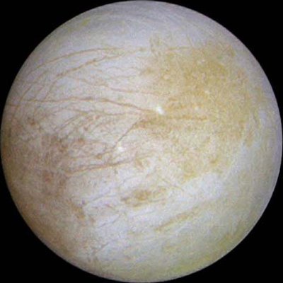 sdasse's profile picture. Design