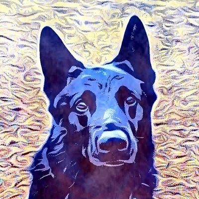 cryp_tau's profile picture. The Crypto Shepherd

$PLE