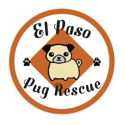 The El Paso Pug Rescue is a 501(c)3 nonprofit Texas corporation committed to the aid of homeless, mistreated, neglected, and unwanted Pugs.