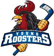 Die Nachwuchsabteilung des Iserlohner Eishockey Clubs e.V. (Hauptgesellschafter der Iserlohn Roosters GmbH)