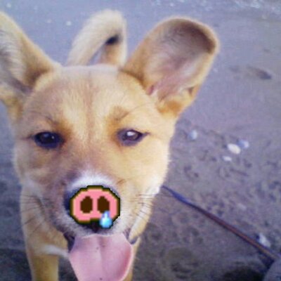 内田智久