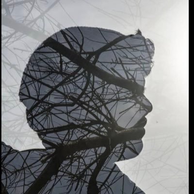 El_Stevie_'s profile picture. 🇪🇨I love gaming