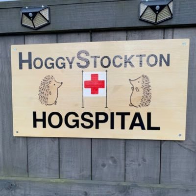 HoggyRescue's profile picture. Opened in November 2016 we are a small Hedgehog Hospital who educates & informs humans & supports our Garden Guardians in Hog Care 🐾 BHPS & CHPS member 🦔