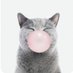 Luisa (@warnerdot_) Twitter profile photo Luisa (@warnerdot_) Twitter profile photo