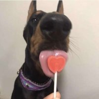 Edis (@edisyumerov) 's Twitter Profile