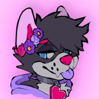 KonaFuzzbutt (@kfuzzbutt) 's Twitter Profile