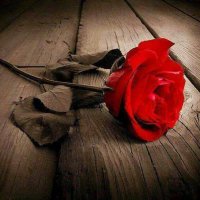 بنت أبوي ✨ (@axoidl) 's Twitter Profile