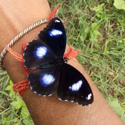👣  चरण कमल का आसरा #butterfly 🦋 #lihthning ⚡  𝘿𝙤𝙣𝙖𝙩𝙚 𝙍𝙚𝙙 🩸, 𝙎𝙥𝙧𝙚𝙖𝙙 𝙂𝙧𝙚𝙚𝙣 🌳, 𝙎𝙖𝙫𝙚 𝘽𝙡𝙪𝙚 💧