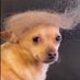 Not_an_Alt (@not_an_alt2) Twitter profile photo Not_an_Alt (@not_an_alt2) Twitter profile photo