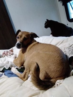 I am a very loving and caring person I love animals especially cats!!