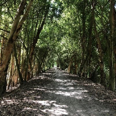 namdongpq's profile picture. 