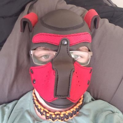 PupNamedRufus's profile picture. Pup from Middle Tennessee

owned by the amazing @SilverAlpha159

https://t.co/pboWFIB78H