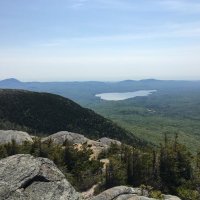 Save the Planet (@climatecleanpl1) 's Twitter Profile