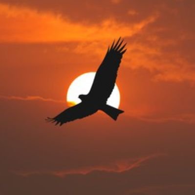 Sumit29159072's profile picture. 🙏वसुधैव कुटुम्बकम्🙏🚩जय हिन्द जय भारत 🚩