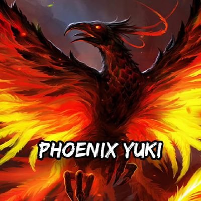 Player  League of Leyends Wild Rift