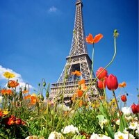 あい (@ai_kiitos) Twitter profile photo