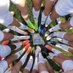 LS West Womenβs Soccer (@lswestsoccer) Twitter profile photo LS West Womenβs Soccer (@lswestsoccer) Twitter profile photo