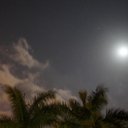 Tanya Harmon - @Tanya_8oD - Twitter