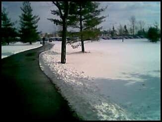 AM_Almansour's profile picture. Finance and Economics