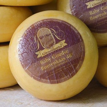 Kaas- en Zuivelboerderij Kuiper is gelegen in de prachtige Alblasserwaard, in het dorpje: Giessenburg. Wij maken de lekkerste kaas van Nederland! Bezoek ons!