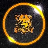 ๐SYNERGY๐ (@synergy300) 's Twitter Profile
