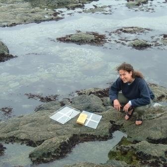 Marine ecologist working at the intersections of ecology, law, climate change, and coastal environmental justice